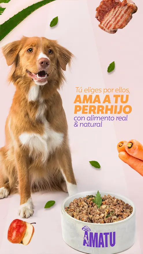 Alimento natural para perros cocido horneado super premium