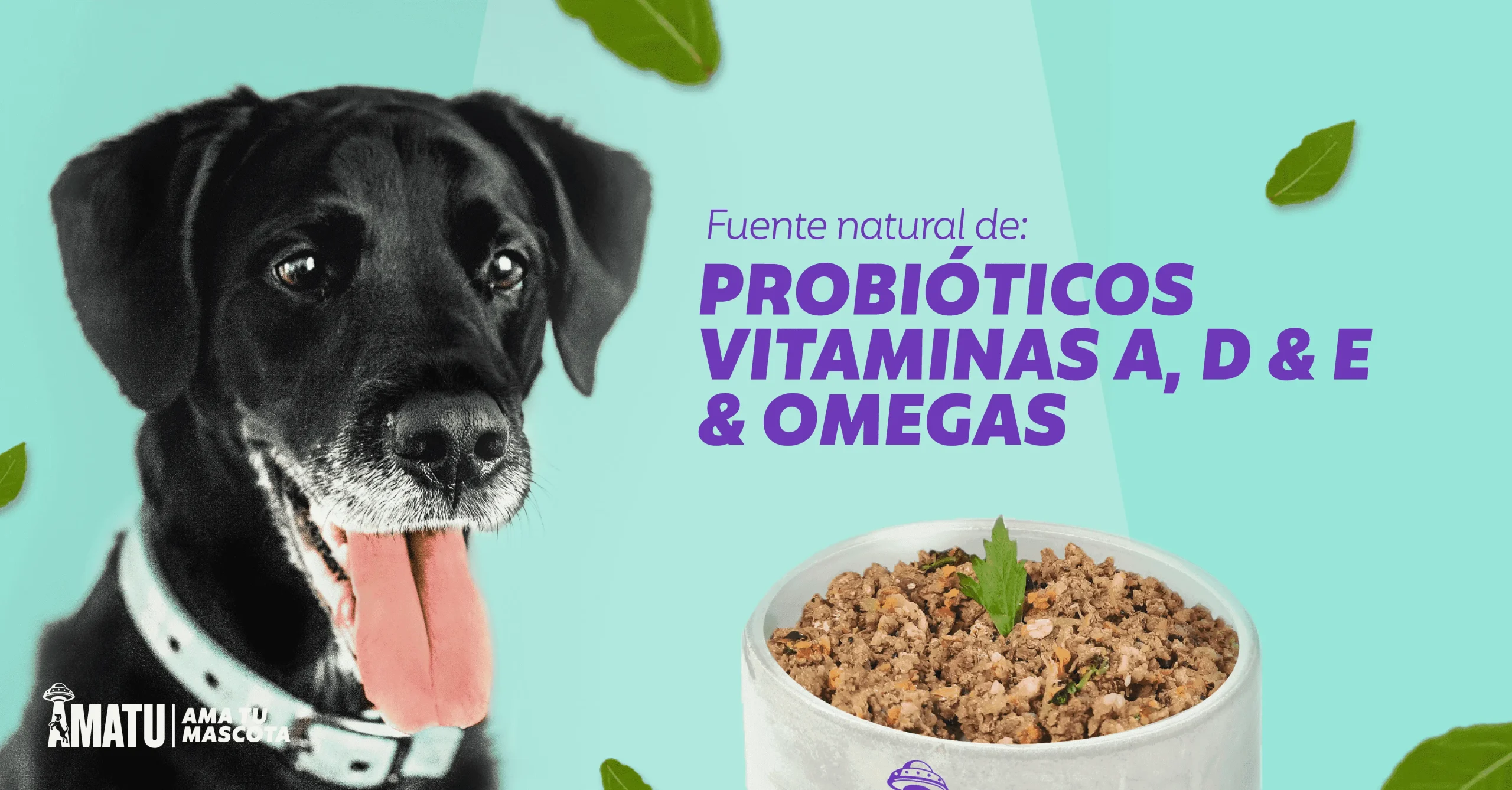 Probioticos para perros Alimento natural para perros cocido horneado super premium